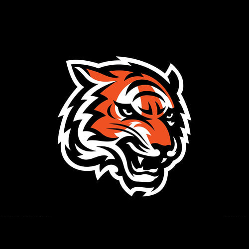 Concinnati Bengals Tickets